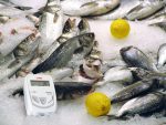 KT150 Datalogger HACCP - Слика 3